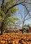 A hayride on a trailer pulled by a tractor.