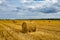 Haystack. Agriculture field with sky. Straw in the meadow. Grain harvest, harvest