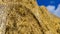 Haystack close up. Hay bale against a blue sky. Harvesting hay, dry grass