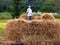 Haystack Farmer