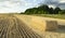 A Haystack field agricultural crop and wheat fields