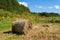 Haystack in the field. Panorama of rural.