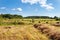 Haystack in the field. Panorama of rural beauty.