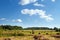 Haystack in the field. Panoramic.