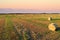 Haystack on field on sunset background. Hay bale from residues grass.