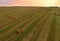 Haystack on field on sunset background. Hay bale from residues grass. Hay stack in agriculture.