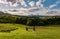 Haystack on fields in mountainous rural area