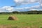 Haystack in a gentle meadow in the summer.