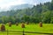 Haystack on grassland hill on foreground