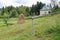 Haystack on green lawn near modern house