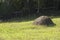 Haystack harvest agriculture farm field. Haystack rock on agricultural field