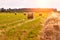 Haystack harvest agriculture field landscape. Agriculture field haystack view. Sun flare