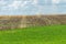 A haystack left in a field after harvesting grain crops. Harvesting straw for animal feed. End of the harvest season. Round bales