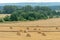 A haystack left in a field after harvesting grain crops. Harvesting straw for animal feed. End of the harvest season. Round bales