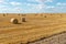 A haystack left in a field after harvesting grain crops. Harvesting straw for animal feed. End of the harvest season. Round bales