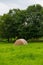 Haystack in the meadow. SUMMER SEASON.