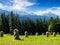 Haystack near forest on a meadow in Tatras