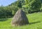 A haystack, a pile of hay with a pointed  top.