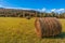 Haystack rolls on gold agriculture field. Beautiful field haystack rolls in autumn season. Haystacks harvest in fall landscape.