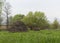 Haystack in a spring meadow