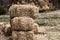 Haystack stacked in a pile on the field gathering grass for livestock feed