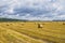 Haystack and straw stacks on cleaned field. Agricultural autumn landscape