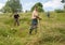 Haystack workers on traditional farming