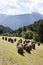 Haystacks along Pustertaler Hohenstrasse, Austria