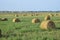 Haystacks in the field