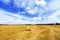 Haystacks field and beautiful blue sky