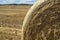 Haystacks on the field, close-up view. Bright yellow and golden Haystacks on agricultural field in sunny summer day