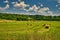 Haystacks in a field in countryside of Georgia, USA