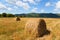 Haystacks in the field in fall