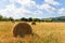 Haystacks in the field in september