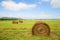 Haystacks in the field in summertime