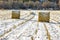 Haystacks on the Frozen Field