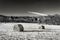 Haystacks on the Frozen Field in Black and White