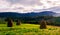 Haystacks on the grassy field in mountains