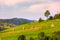 Haystacks on grassy slopes in rural area