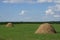 Haystacks on a green meadow under a blue sky. Picturesque pastoral landscape. Farmland on a clear summer day. White cumulus clouds