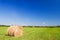 Haystacks harvest against the skies