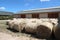 Haystacks for livestock feed for horses outdoors