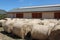 Haystacks for livestock feed for horses outdoors