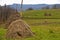 Haystacks on a meadow for cow pasture