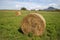 Haystacks on the meadow in Hungar