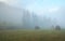 Haystacks, misty morning