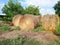 Haystacks near the yard outside