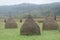 Haystacks in Romania on a Misty Morning