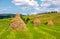 Haystacks in a row on a grassy field