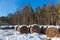 Haystacks and snow